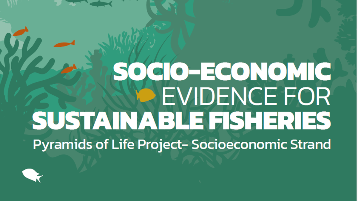 Socio-economic report