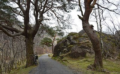 Scottish ecosystem services