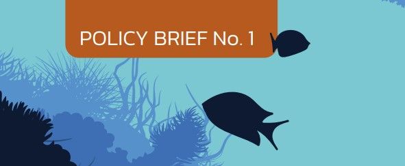 cserge policy brief