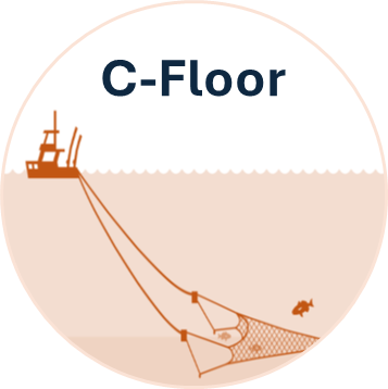 C-floor