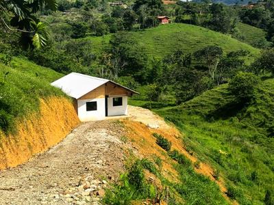 Juan Manuel disfruta de su nuevo hogar vrda. La María