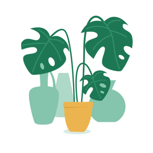 Illustration växt monstrea