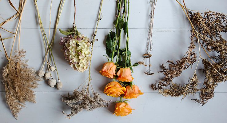 Torkade blommor och gula rosor till höstbukett.