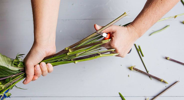 Florist som skär stjälkar med en sekatör.