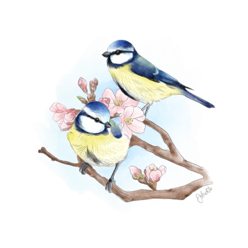 Blåmesar illustration