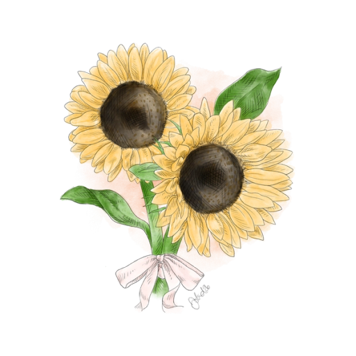 Solrosor illustrationer