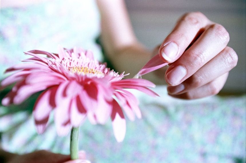 Kvinna plockar av blad från rosa blomma