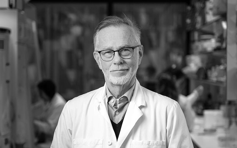 Göran K Hansson