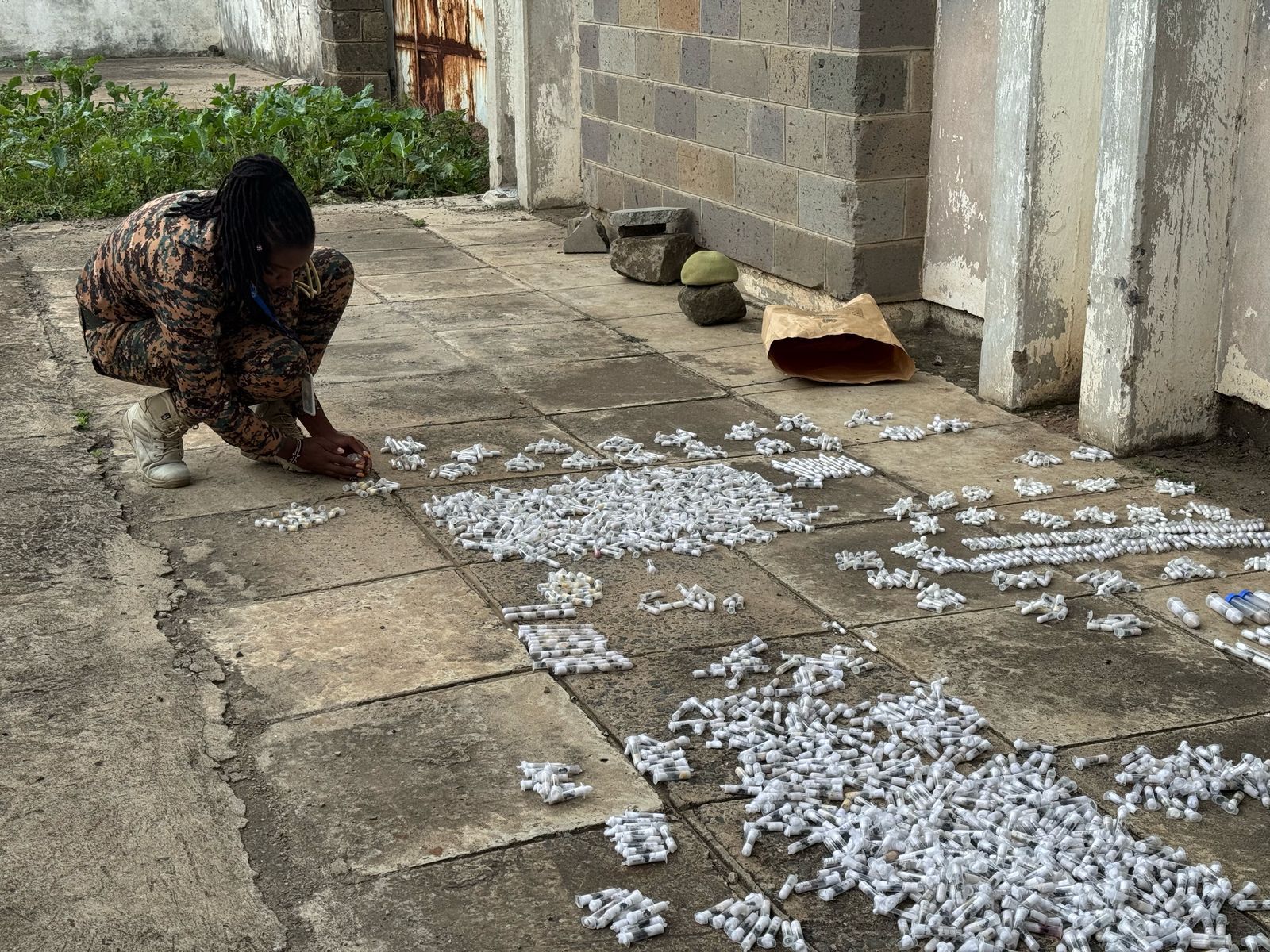 A Kenyan police official sorting out test tubes carrying red ants after a raid on smugglers. Photo: Kenya Wildlife Service