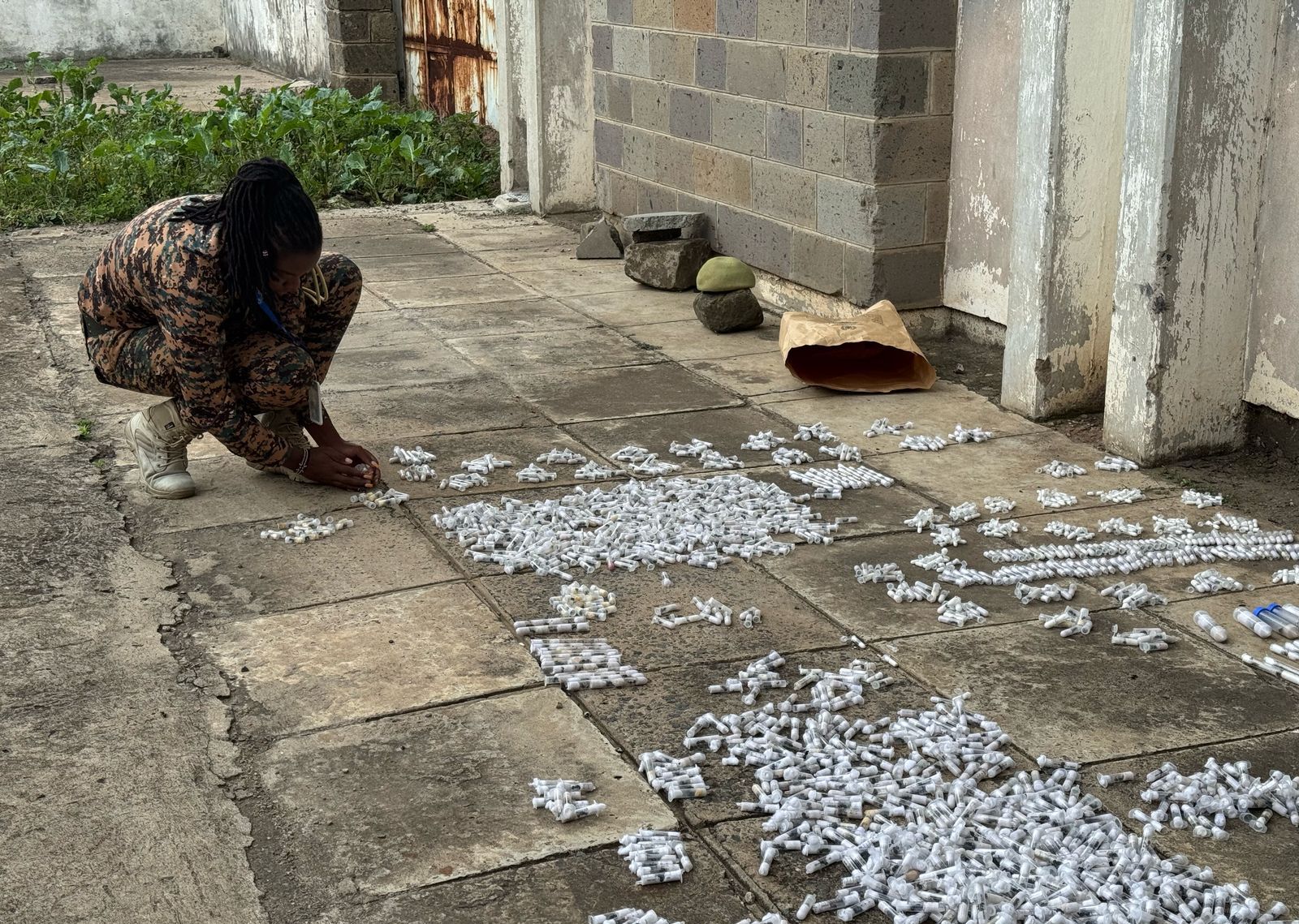 A Kenyan police official sorting out test tubes carrying red ants after a raid on smugglers. Photo: Kenya Wildlife Service