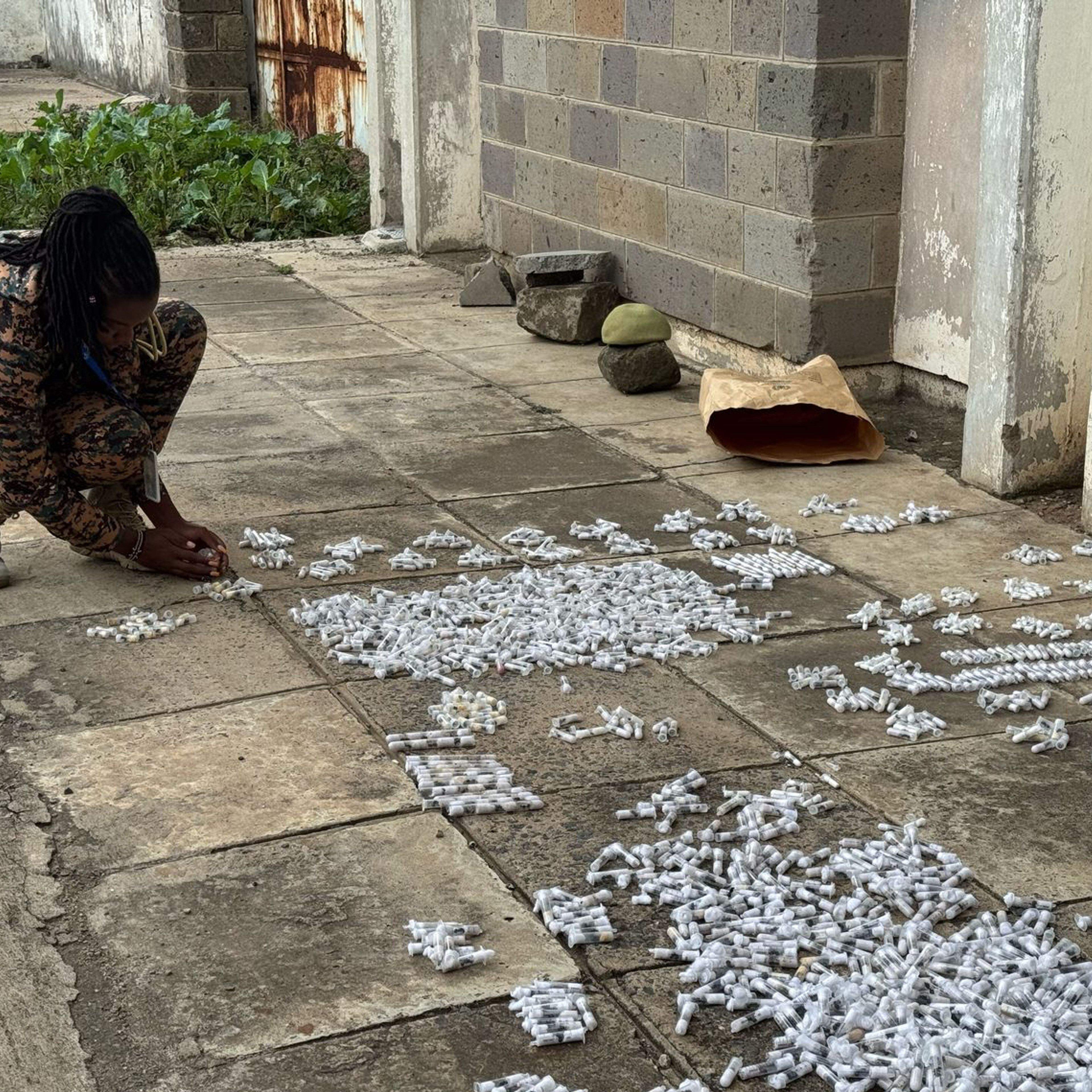 Asia’s Appetite for Exotic Insects Is Fueling a New Wildlife Crime in East Africa