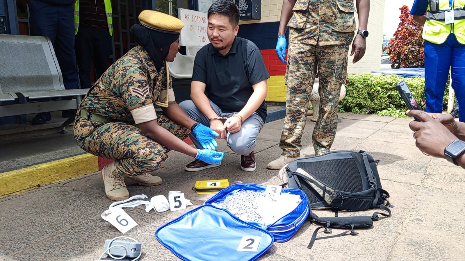 Zhang Kequn, a Chinese national, during his arrest by Kenya Wildlife officials in March 2026. Photo:Kenya Wildlife Service