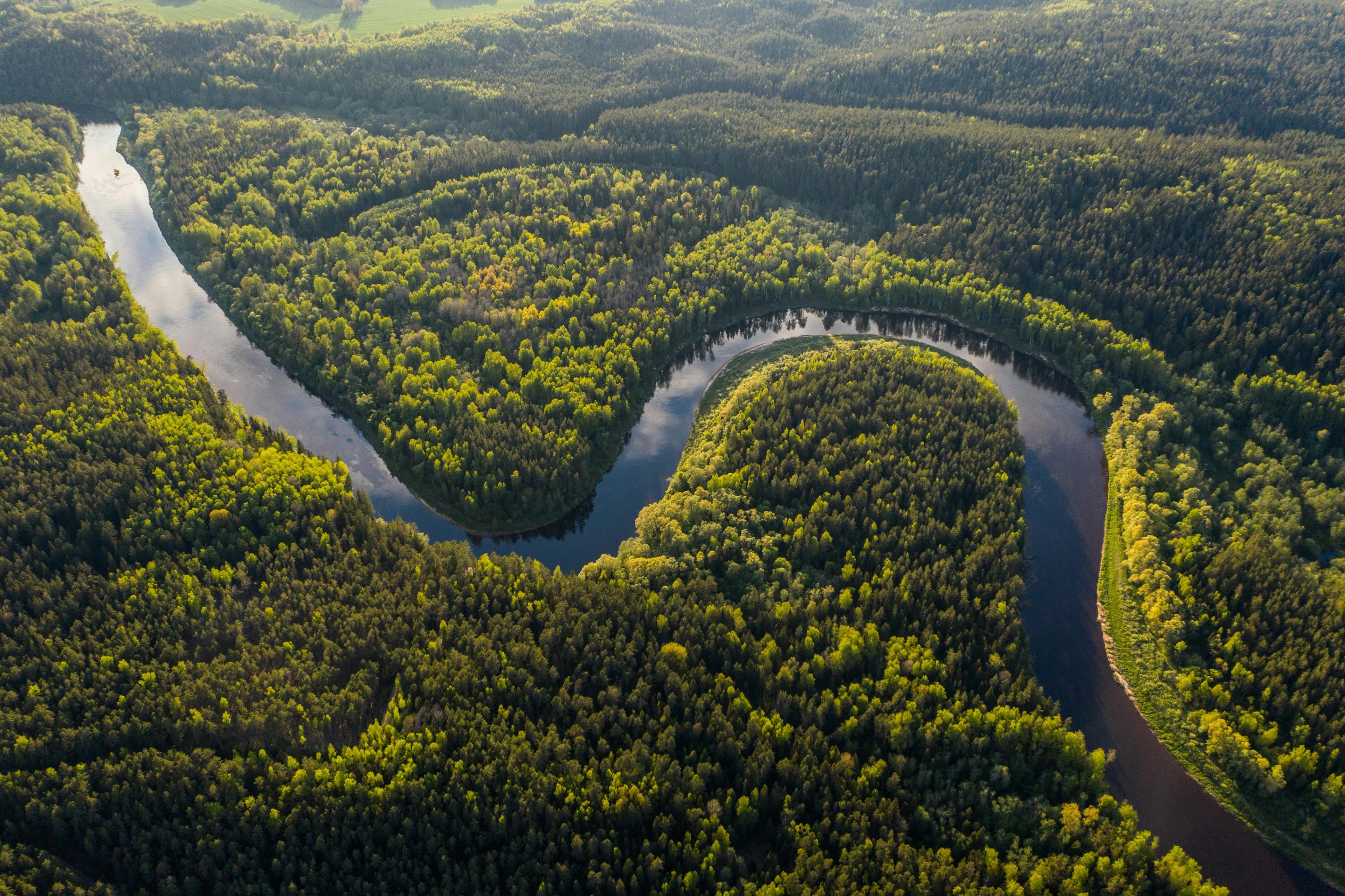 Ariel view of Amazonian rainforest, Brazil