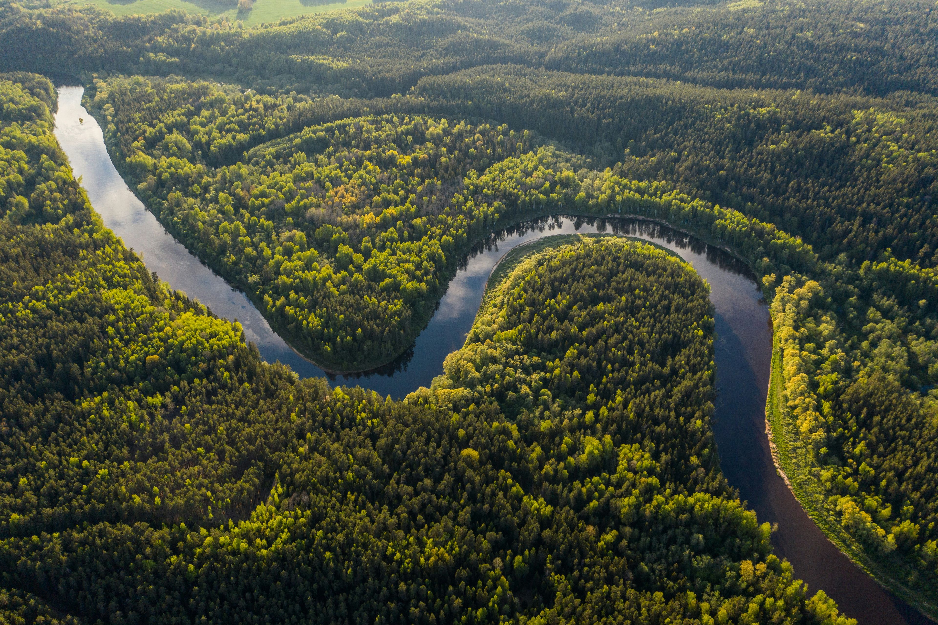 Ariel view of Amazonian rainforest, Brazil
