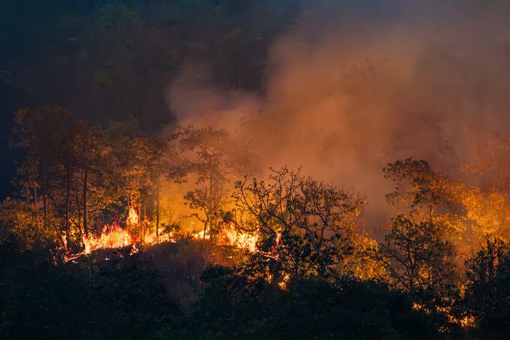 Wildfires as a consequence of El Niño events release carbon dioxide (CO2) emissions and other greenhouse gases (GHG) that contribute to climate change.