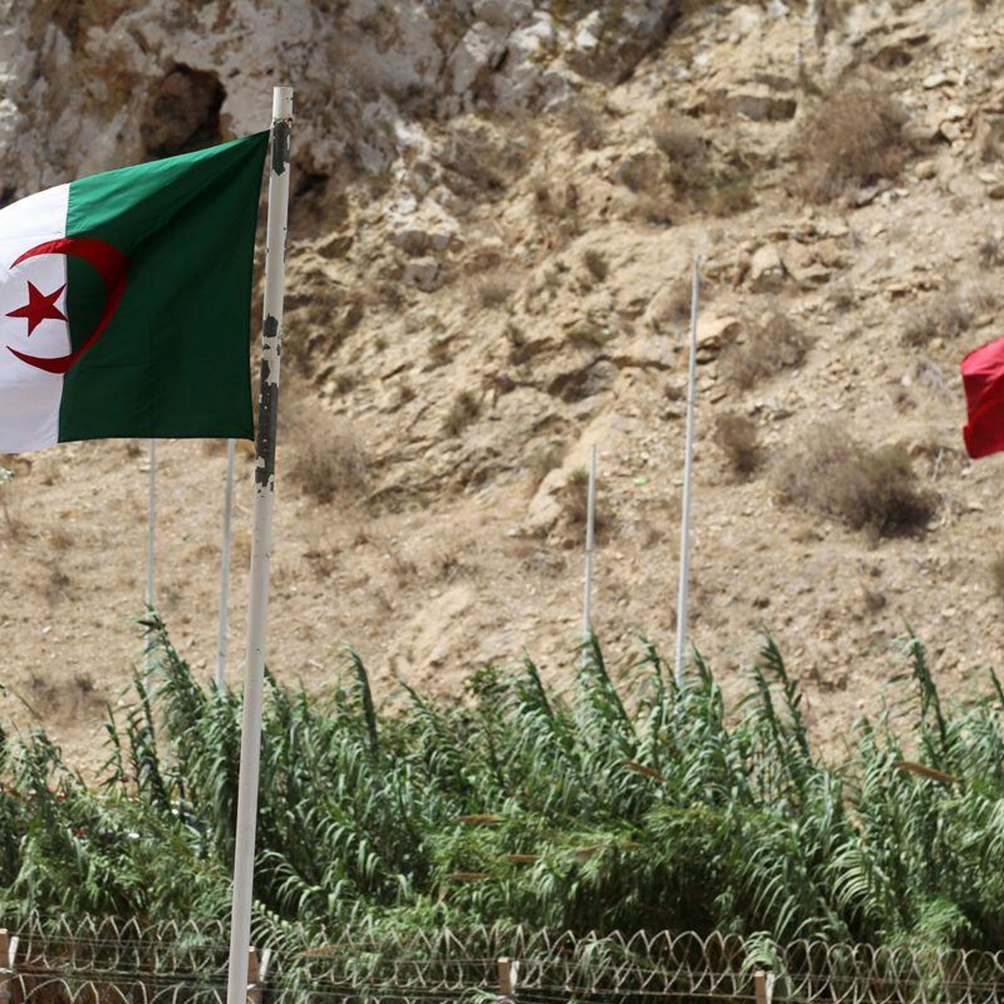 How Morocco’s Shadow Ruptured Algeria’s Relations with the UAE