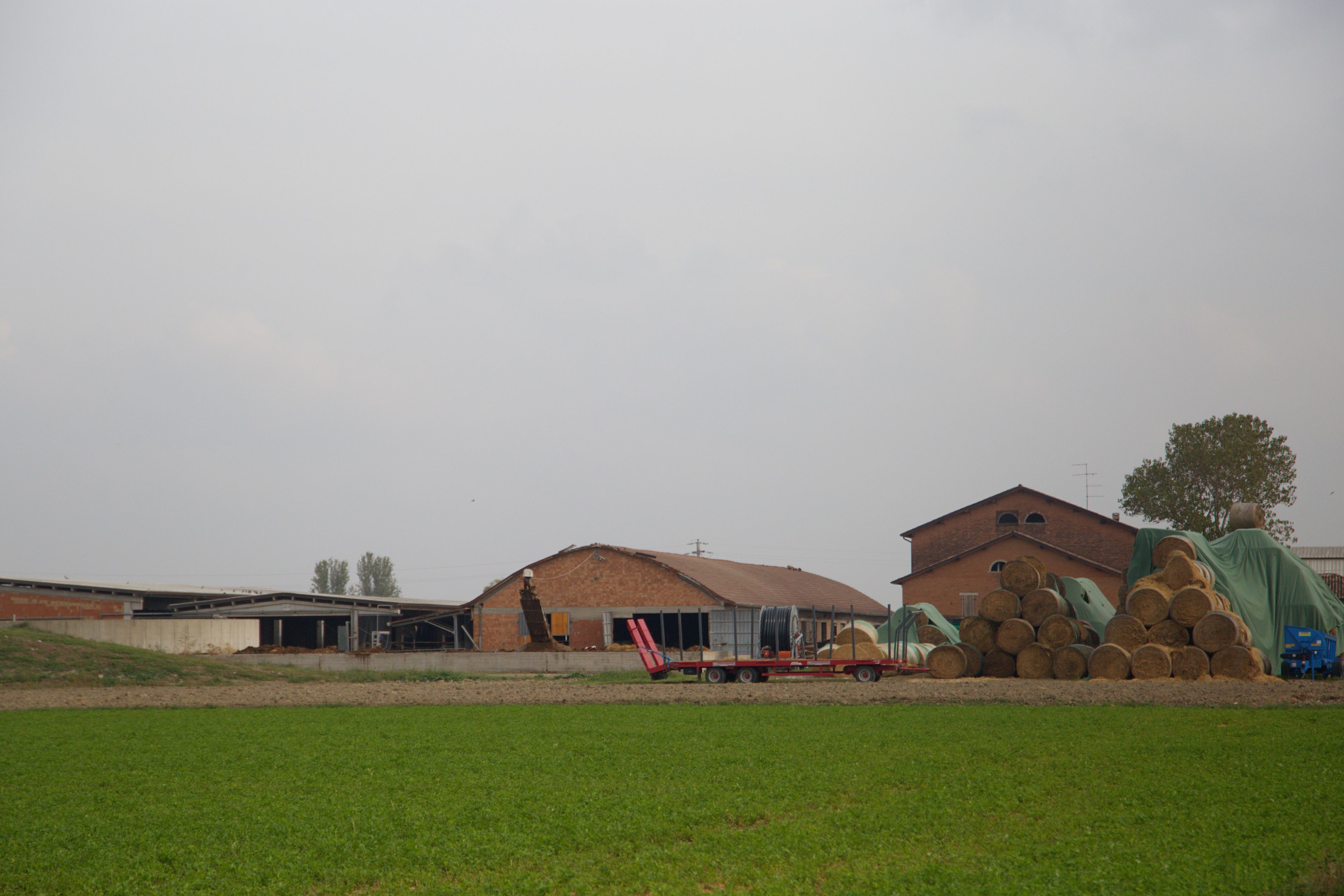 The exterior of Chatha Farm, owned by Chatha Amandeep, 36, who now runs three farms with a total of 629 head of cattle. Photo: Monica Pelliccia