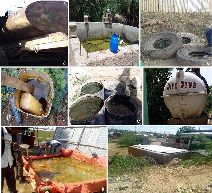 Open water tanks that have become Anopheles stephensi breeding sites in Djibouti, where the mosquito was first detected in Africa. Photo: CDC, Emerging Infectious Diseases