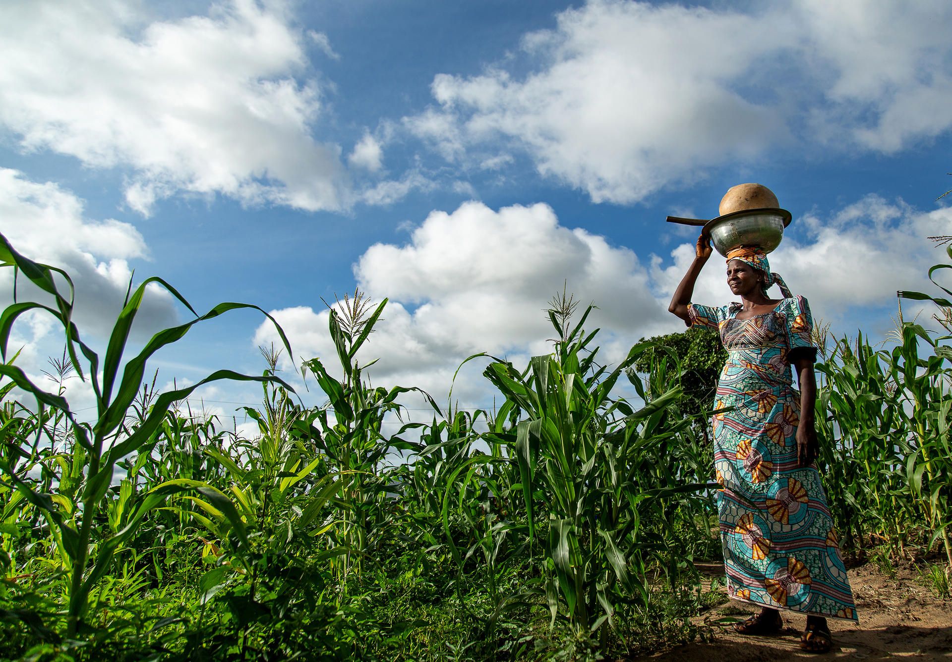 A woman returns from farmland in Adamawa state, north-east Nigeria. The 2026 Multidimensional Poverty Index says Nigeria’s progress against poverty reversed in the 2020s, adding 17.9 million poor people between 2021 and 2024. Photo: UNDP