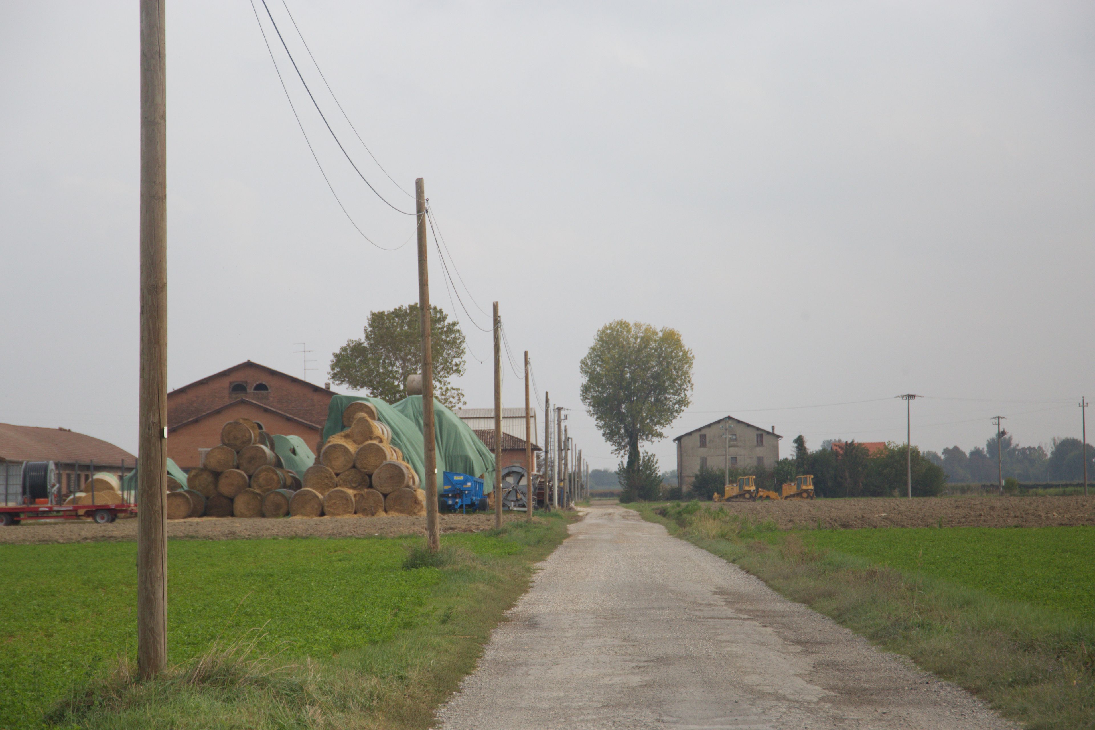 The road leading to Chatha Farm, owned by Chatha Amandeep, 36, who arrived in Italy in 2004 to join his father. He began working in cattle sheds at just 14 and now owns three farms with a total of 629 head of cattle. Photo: Monica Pelliccia