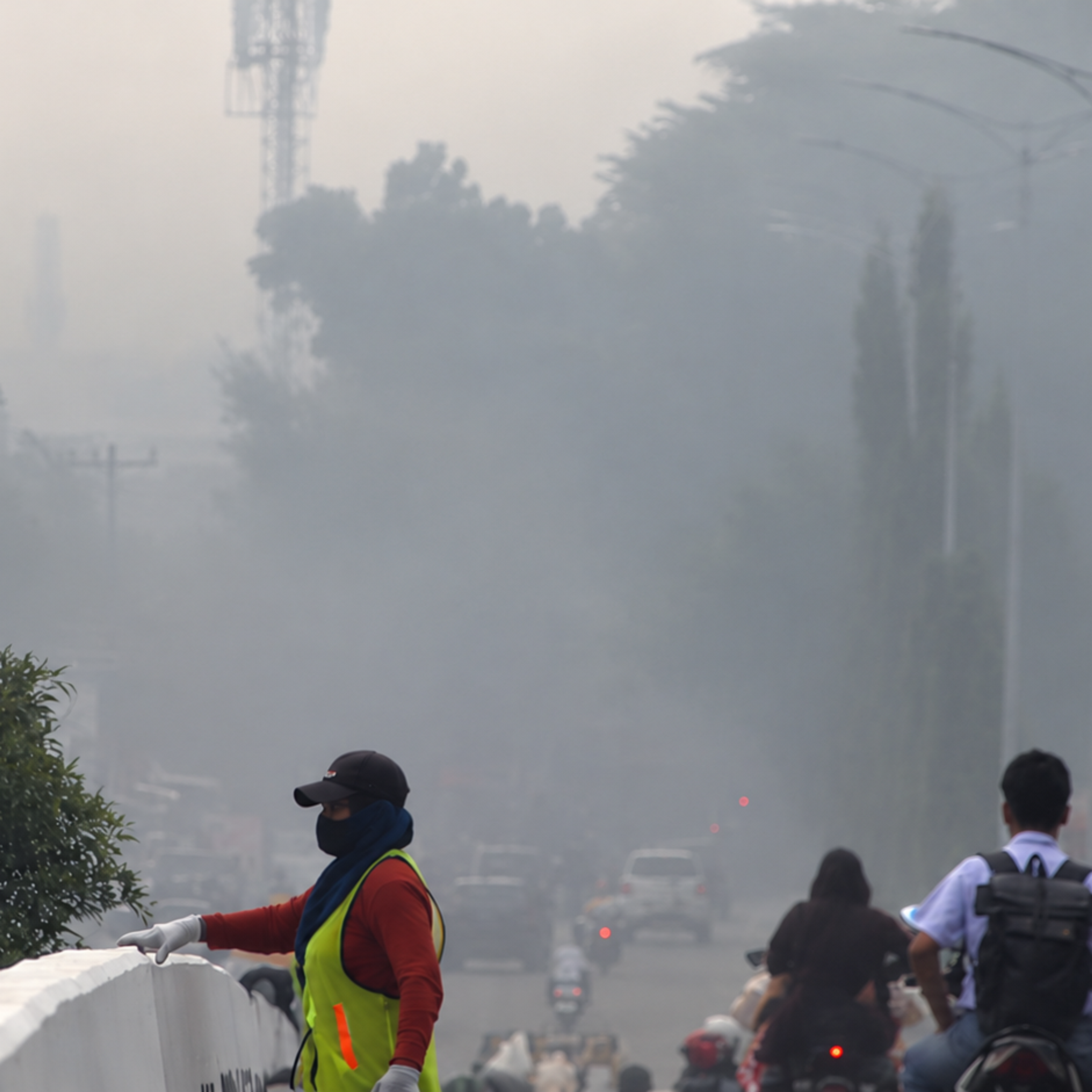 Indonesia’s Wildfires Choke Southeast Asia: Millions Breathe Toxic Haze