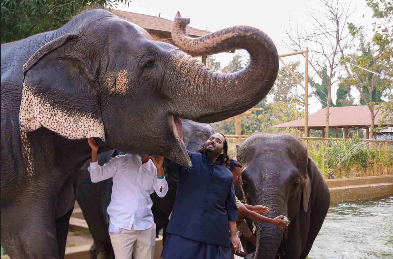 Reliance-Backed Zoo Hired Trump Jr.-Linked Hunting Lobbyist Ahead of CITES Review