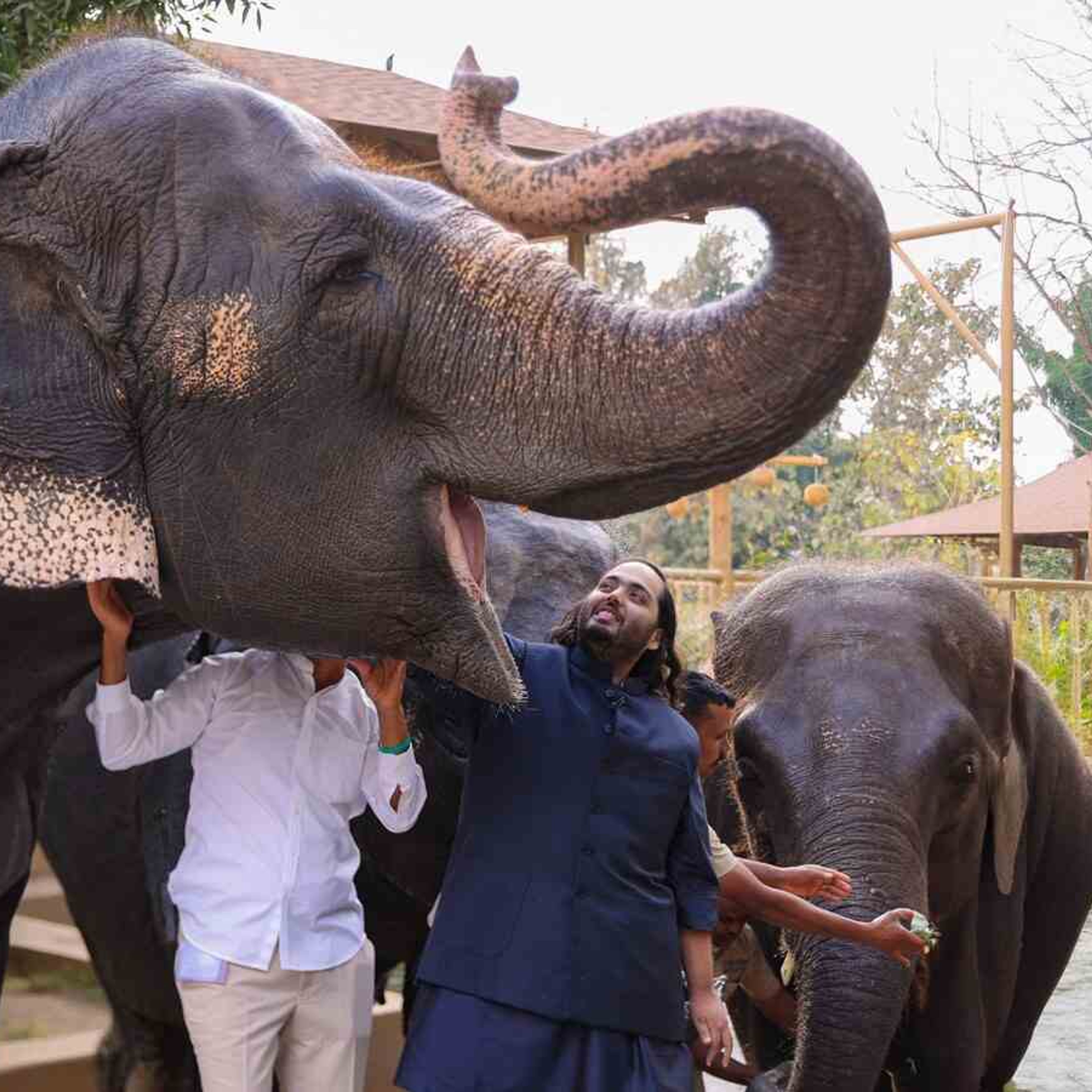 Reliance-Backed Zoo Hired Trump Jr.-Linked Hunting Lobbyist Ahead of CITES Review