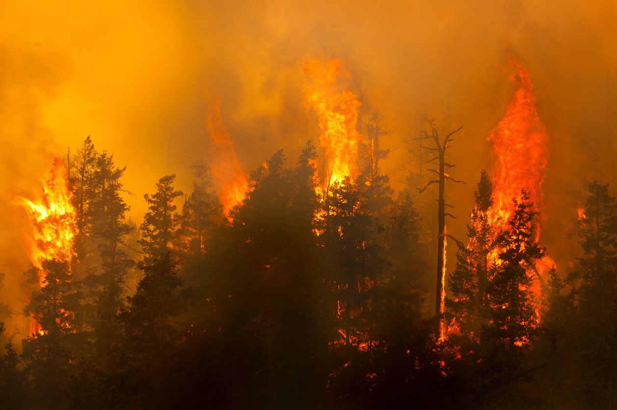 Trump Threatens Higher Tariffs on Canada Over Wildfire Smoke Choking US Cities