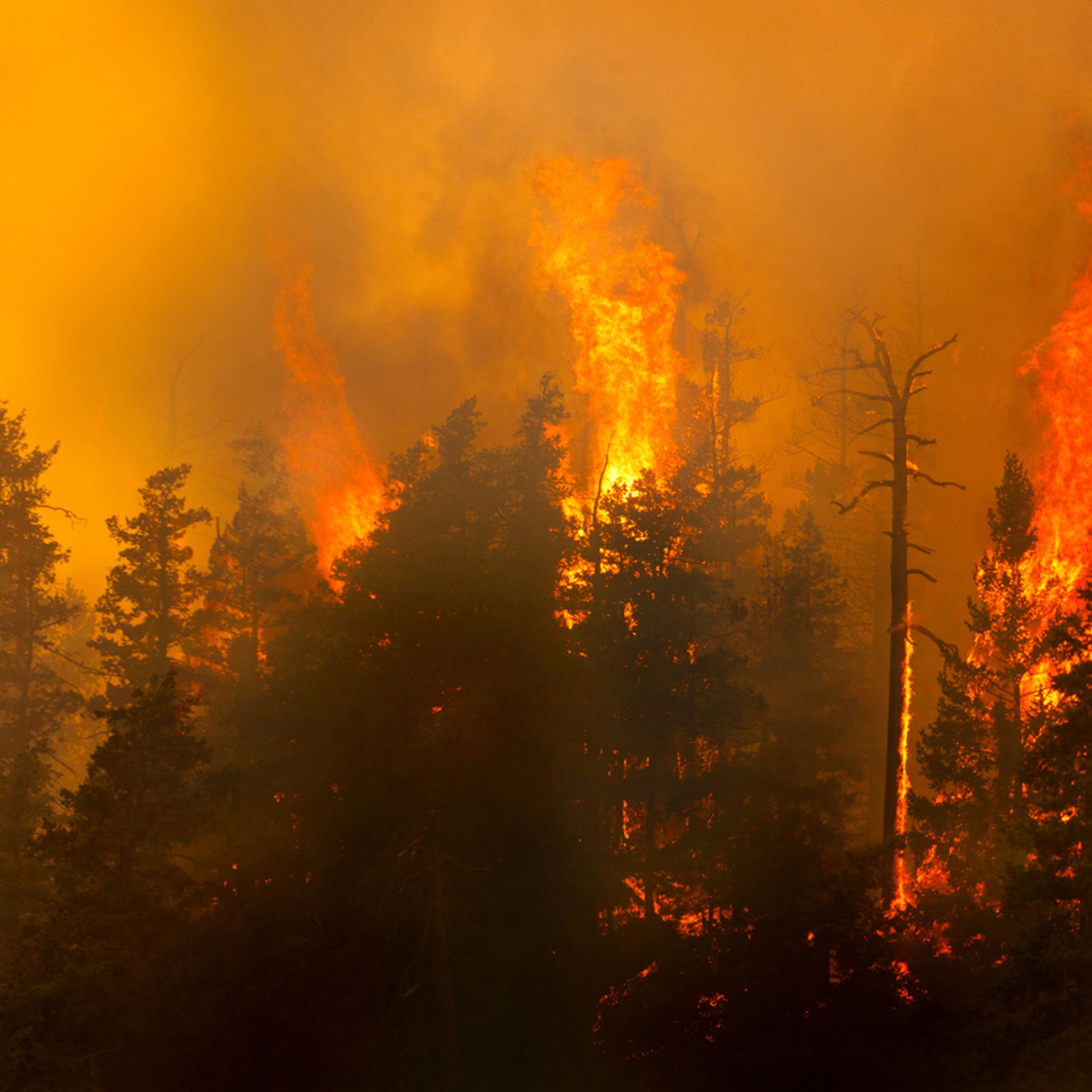 Trump Threatens Higher Tariffs on Canada Over Wildfire Smoke Choking US Cities