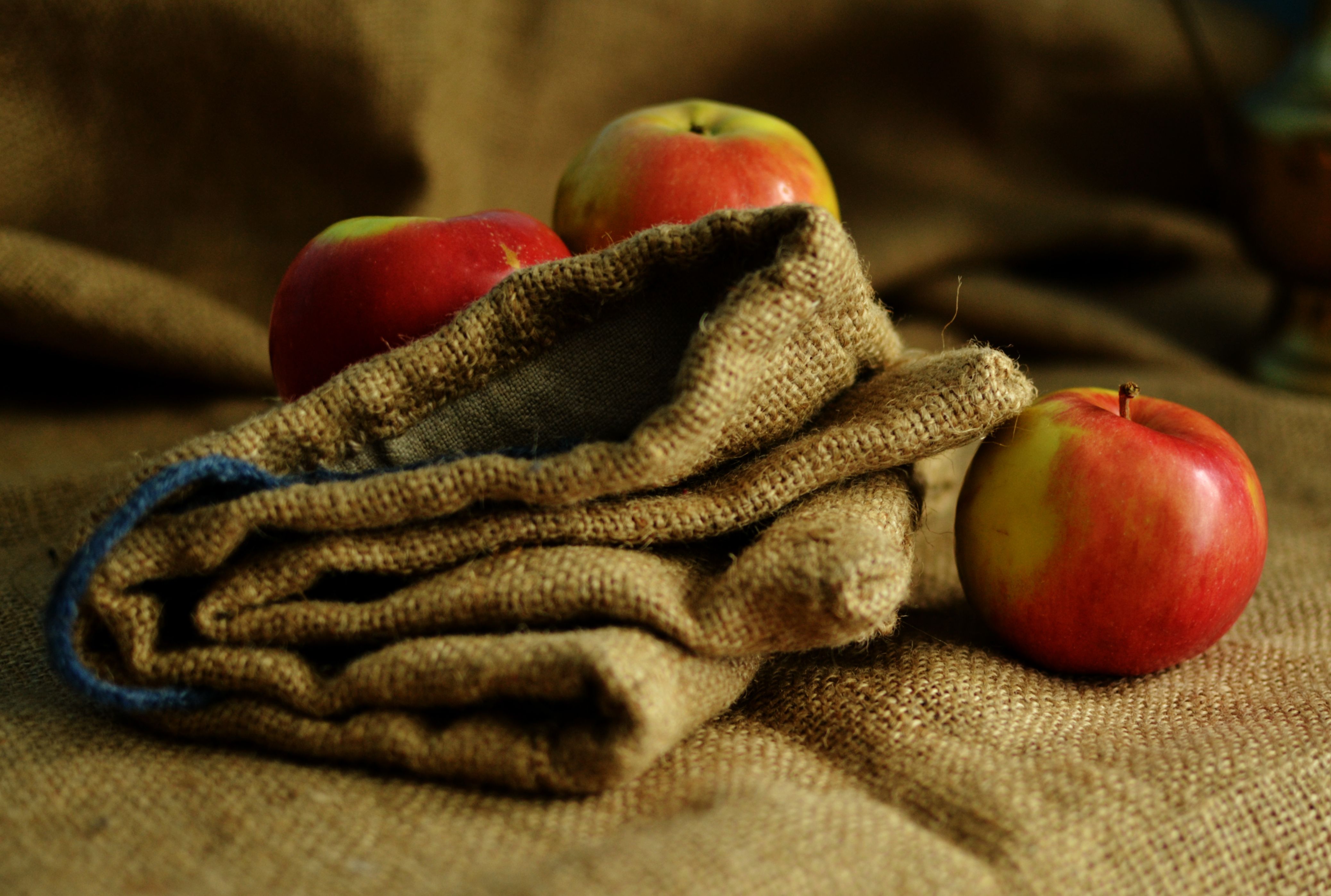 Medieval fabric bag for foods