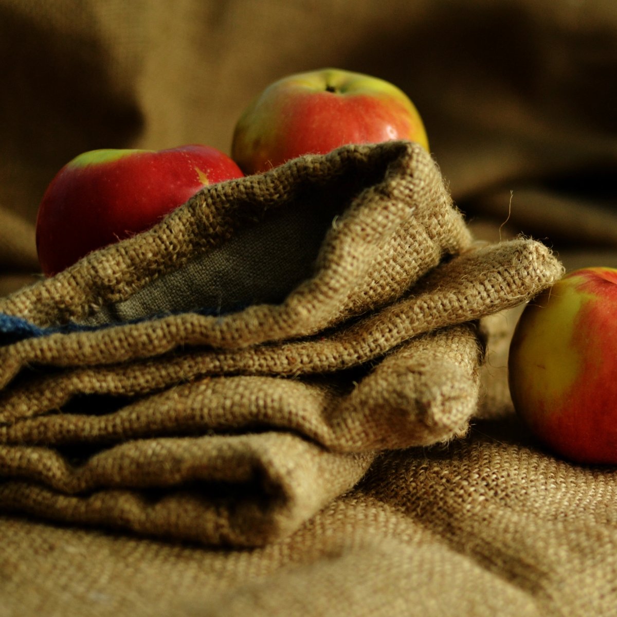 Medieval fabric bag for foods