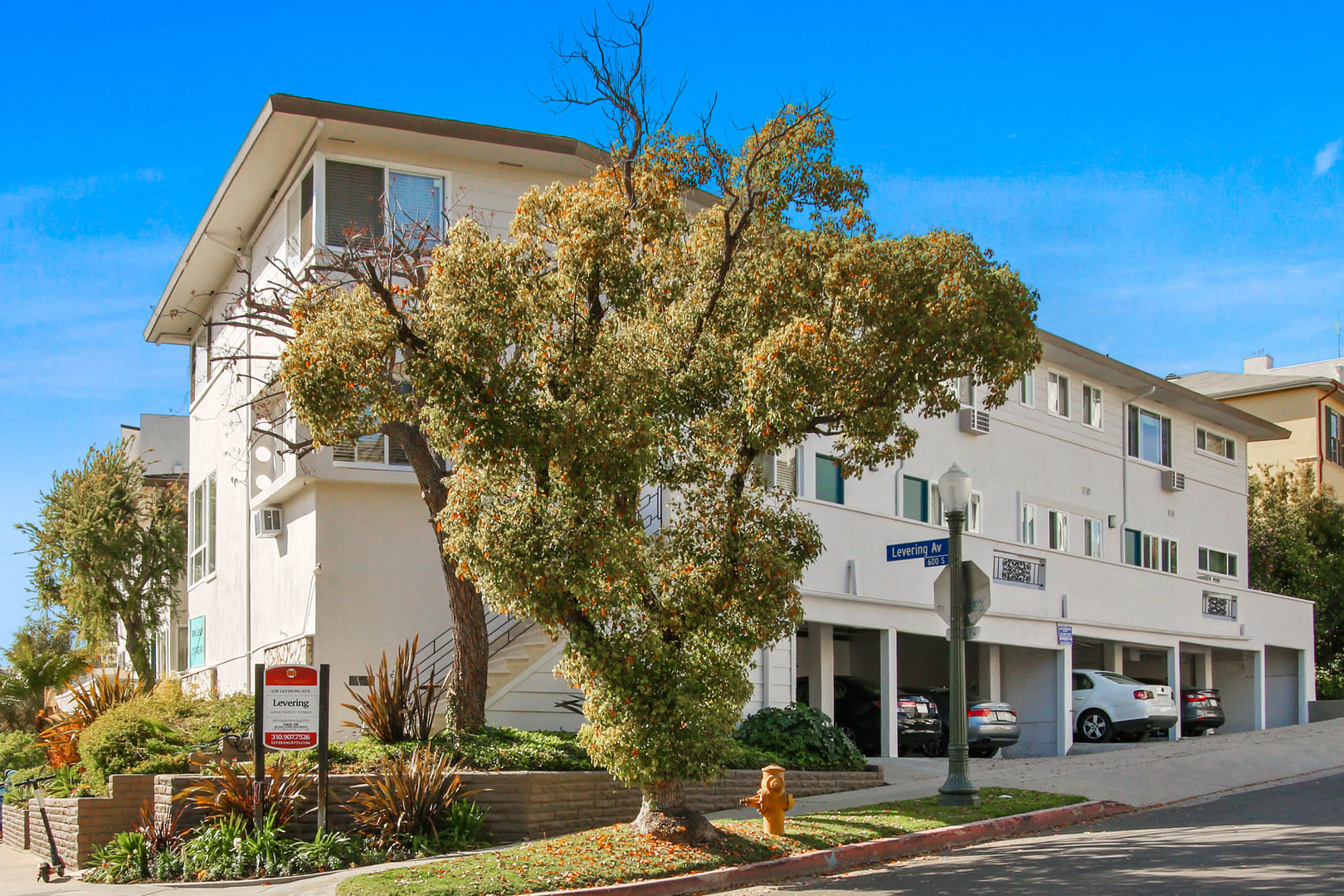 The Best UCLA Apartments for Students Who Love Shopping