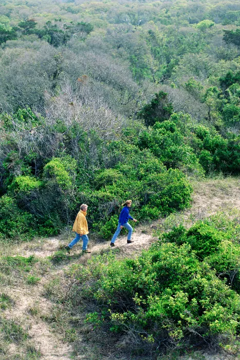 Top Apartments With Outdoor Activities Near UCI for Students