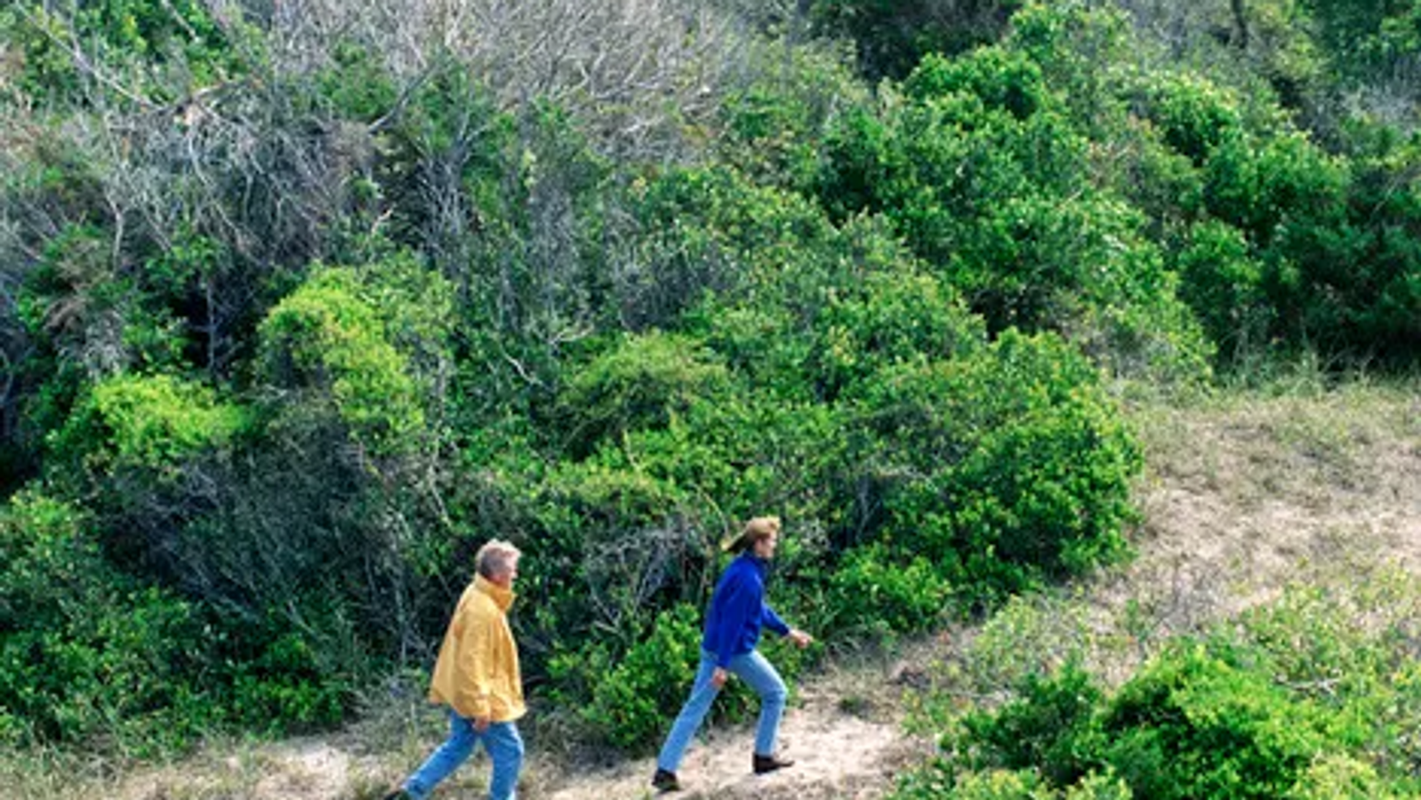 Top Apartments With Outdoor Activities Near UCI for Students
