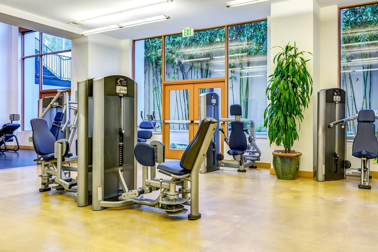 Top Apartments with Gyms Near UCLA for Students