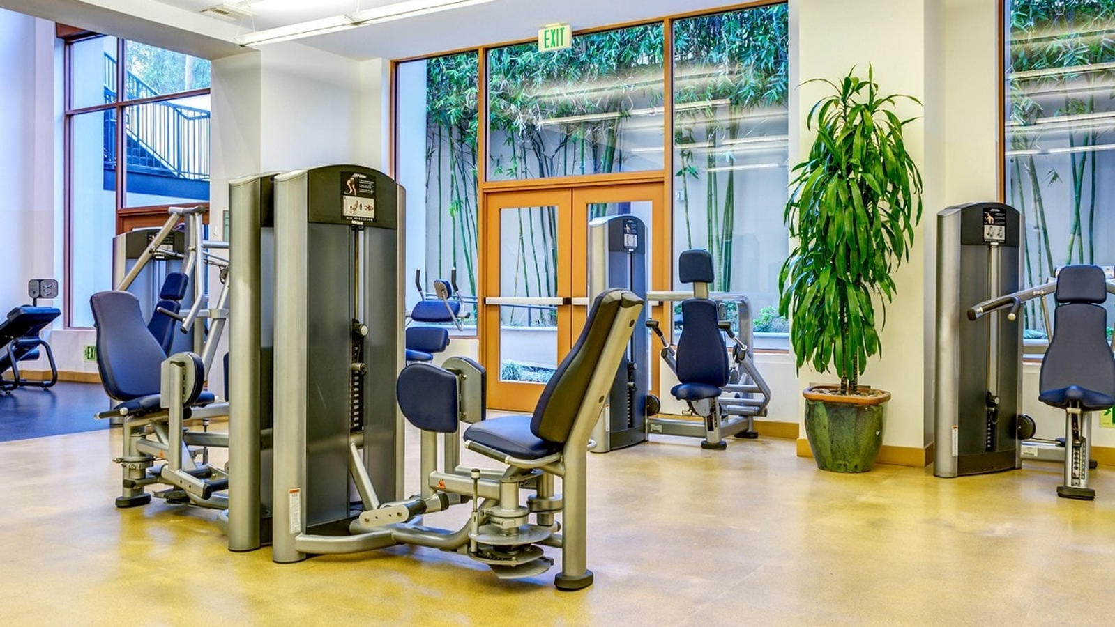 Top Apartments with Gyms Near UCLA for Students