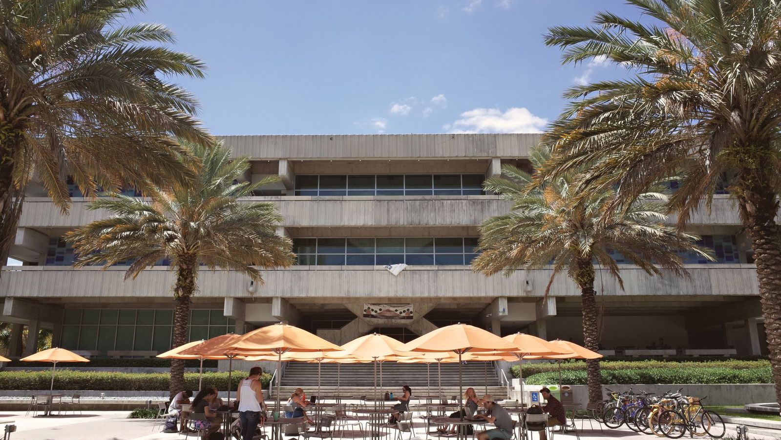 College students studying outdoors under palm trees near campus housing