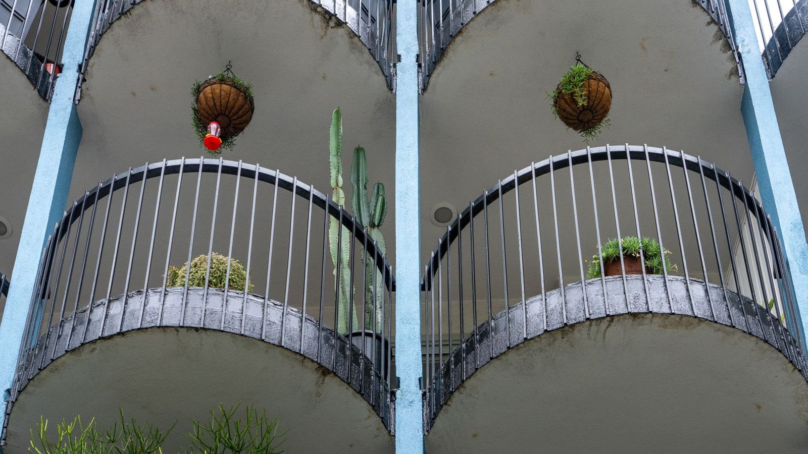 Curved apartment balconies with potted greenery in Los Angeles