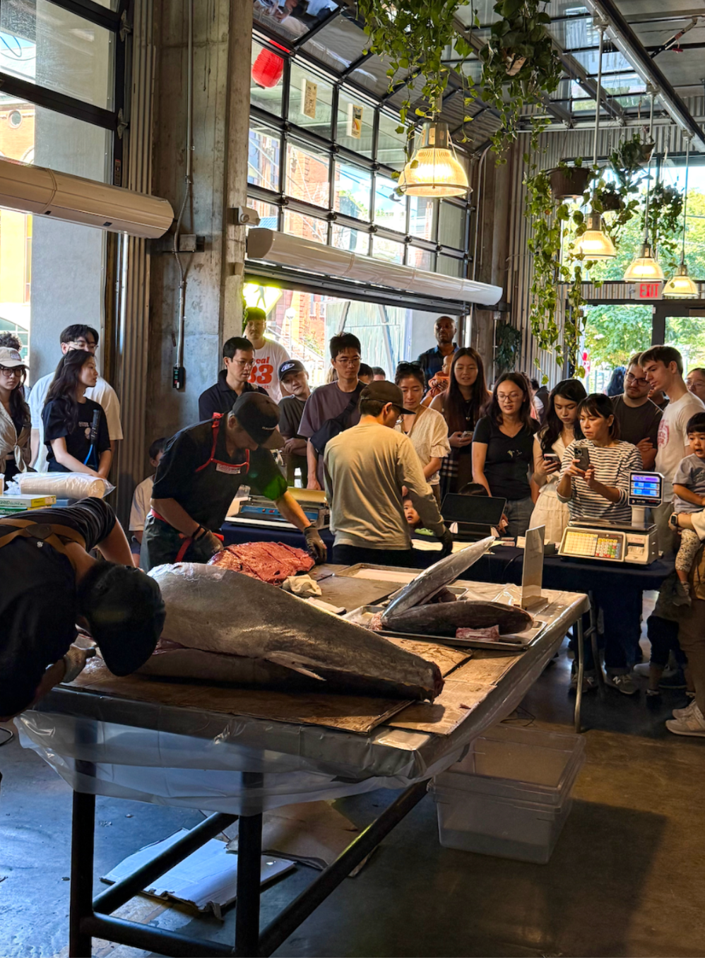 Tuna Comes to The Loop in a Big Way