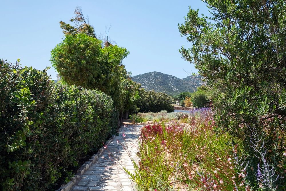 OUTDOOR YARD 