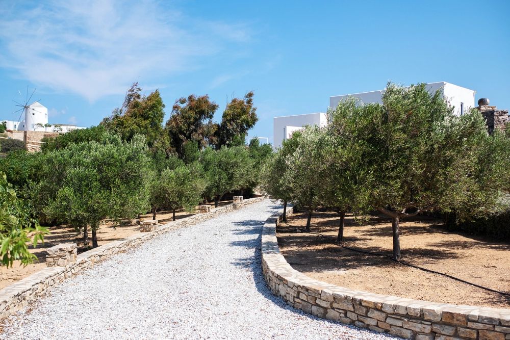 OUTDOOR YARD 