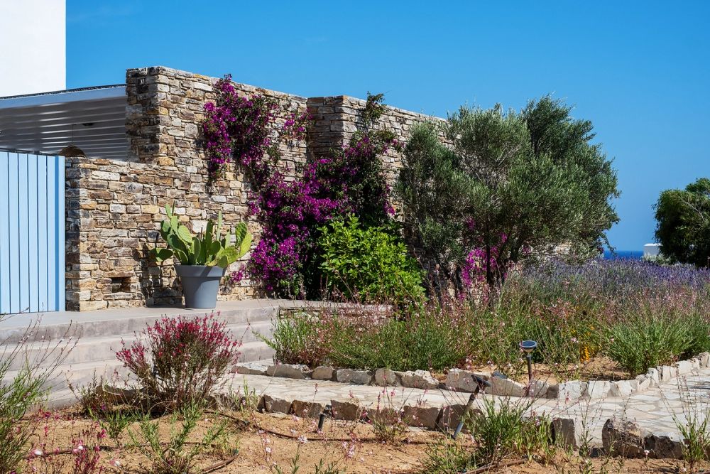 OUTDOOR YARD 