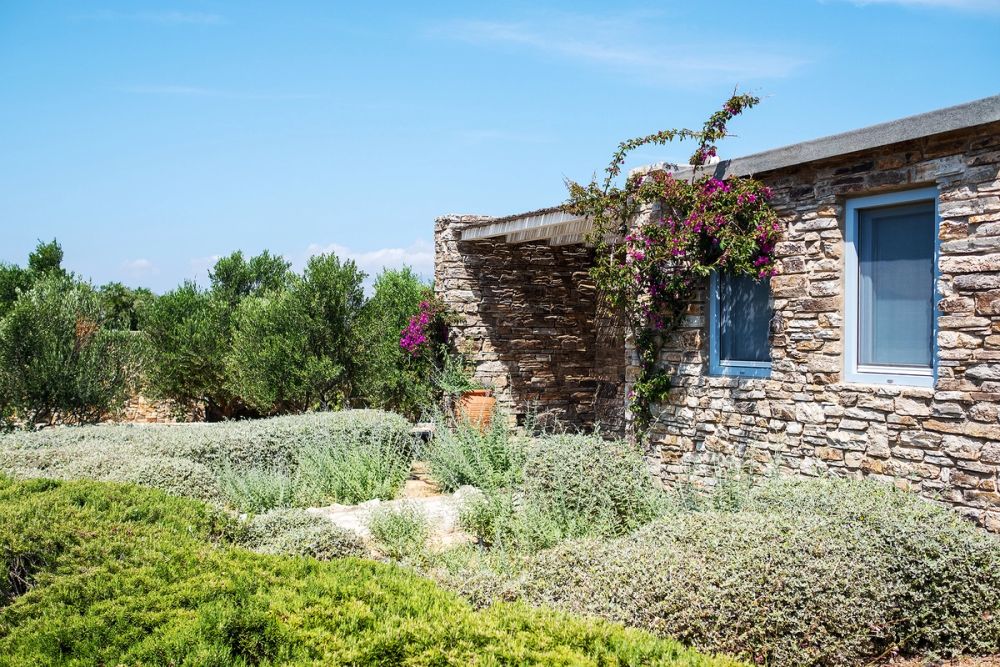 OUTDOOR YARD 