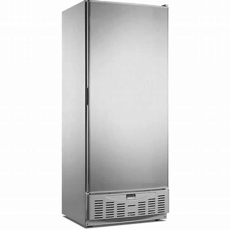 ARMOIRE REFRIGEREE POSITIVE PORTRE PLEINE