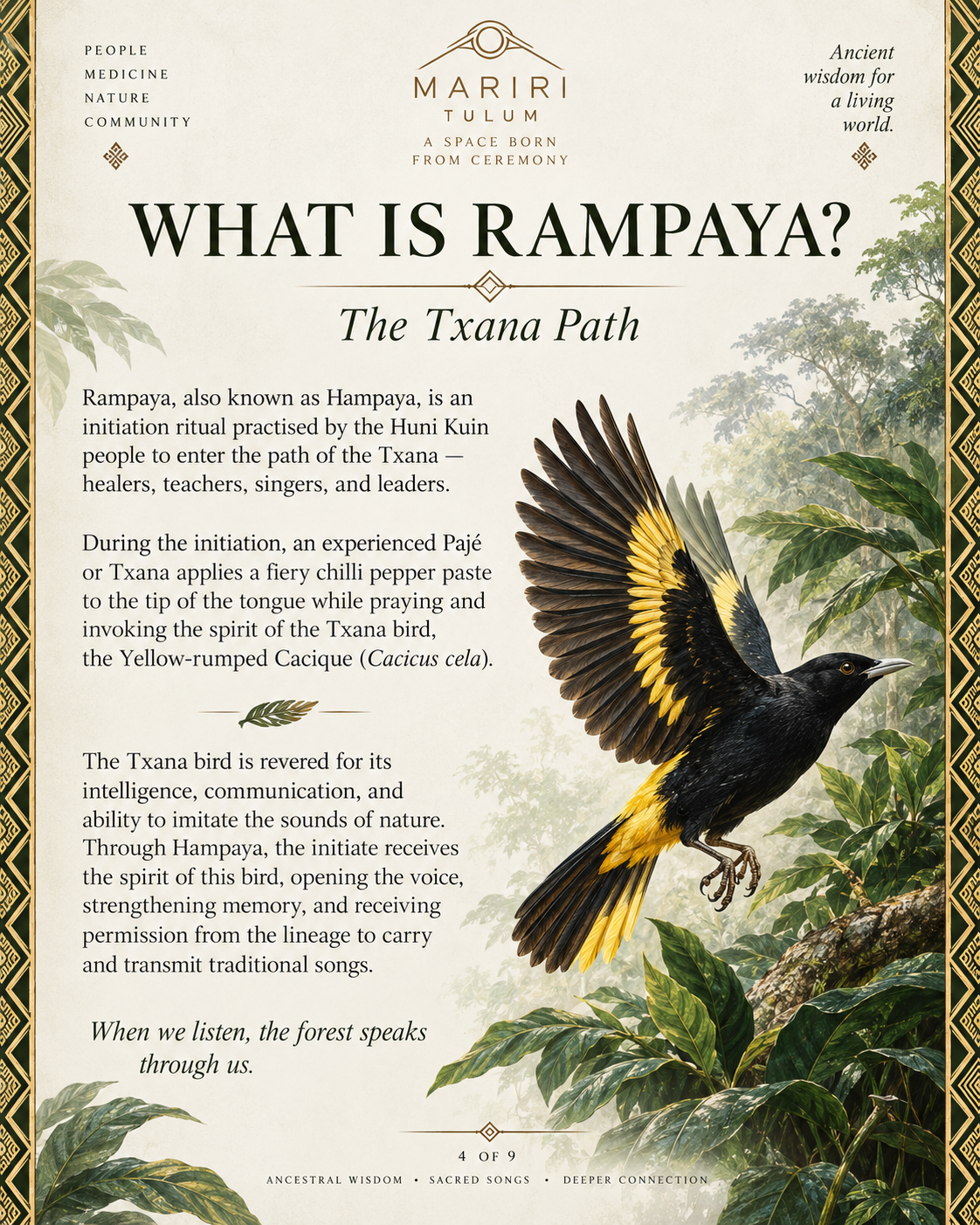 Rampaya Dieta