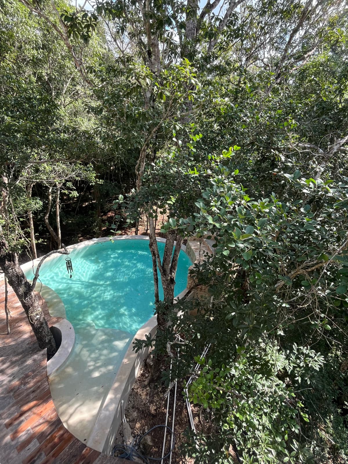 Natural Pool Overhead Angle 2