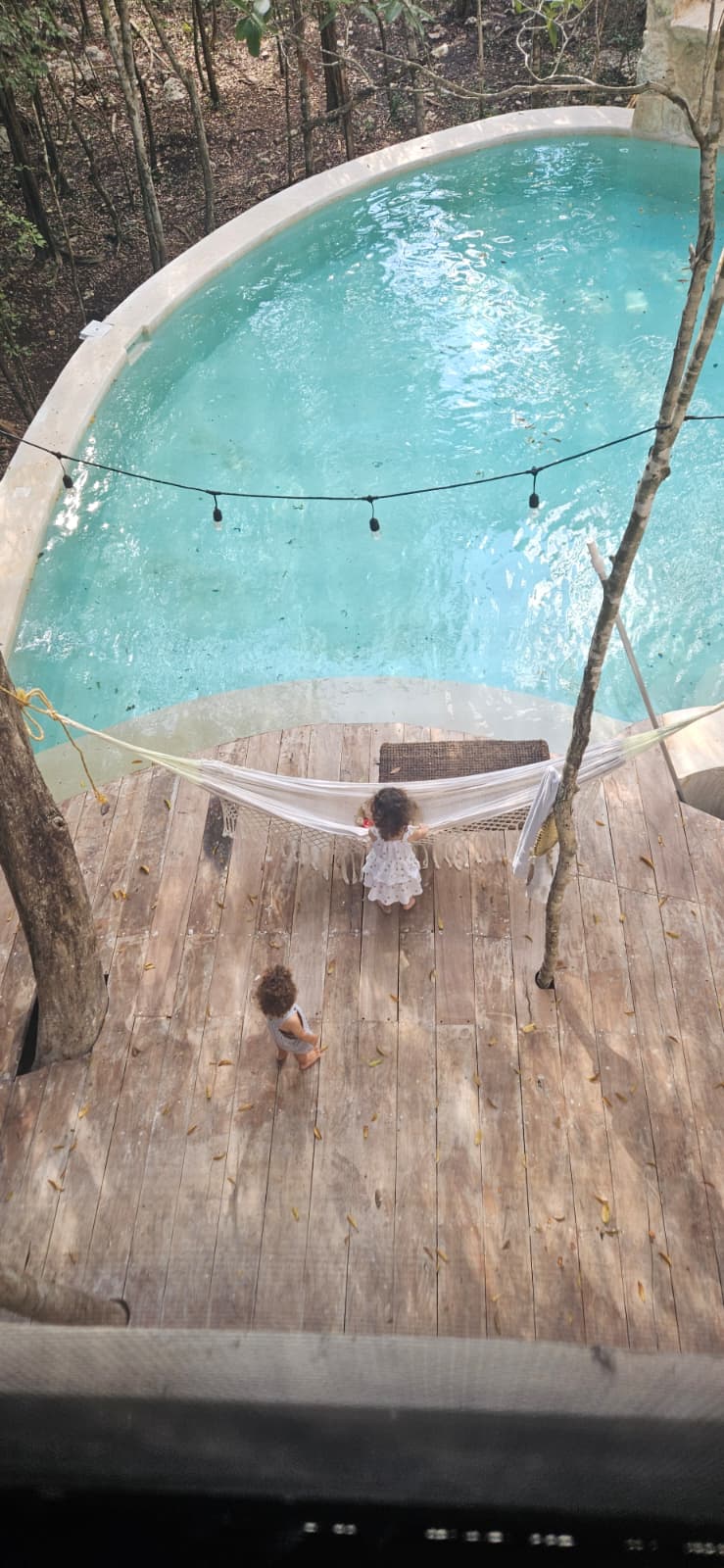 Natural Pool Overhead