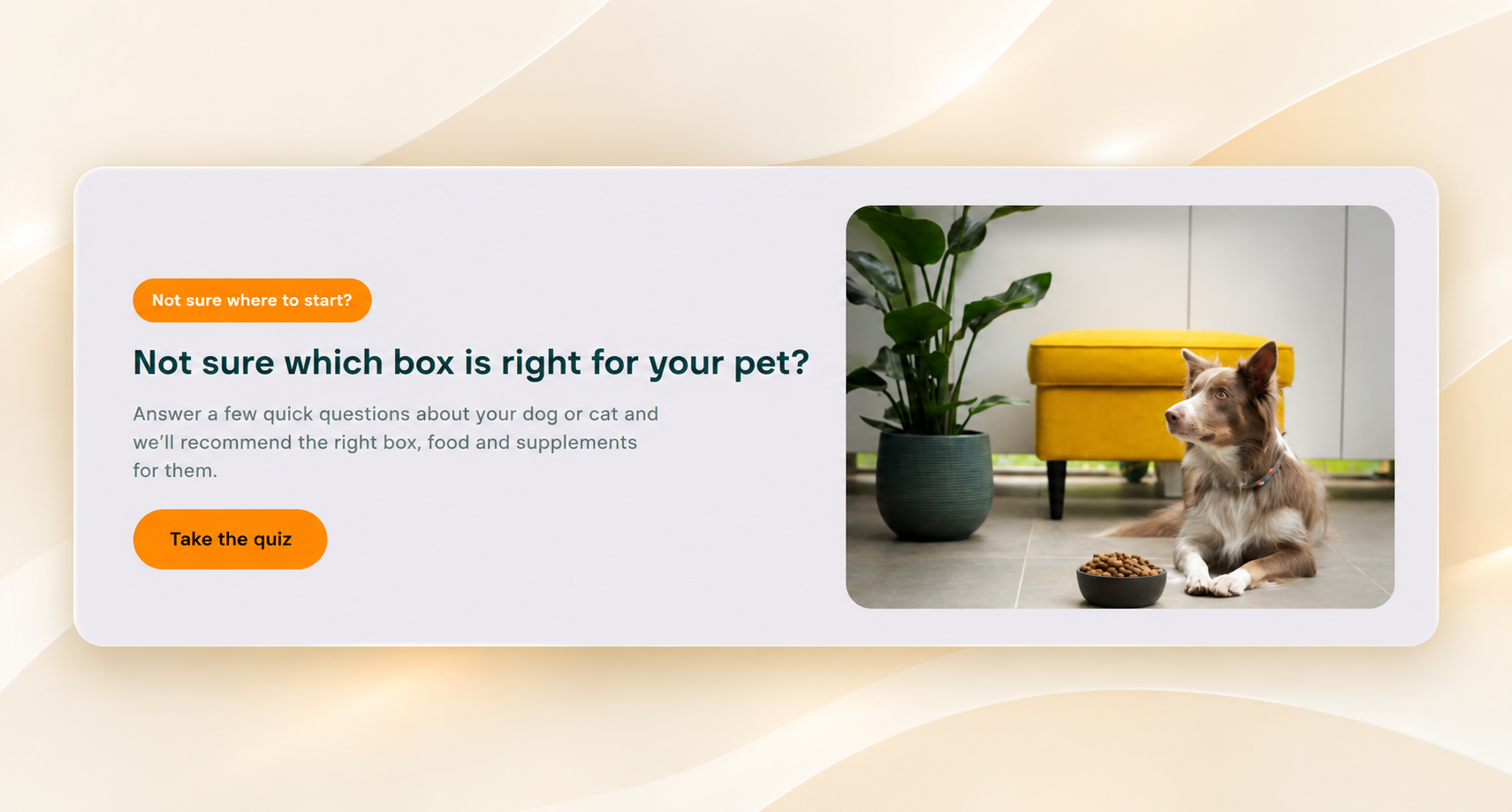 MAXBOX design detail 1