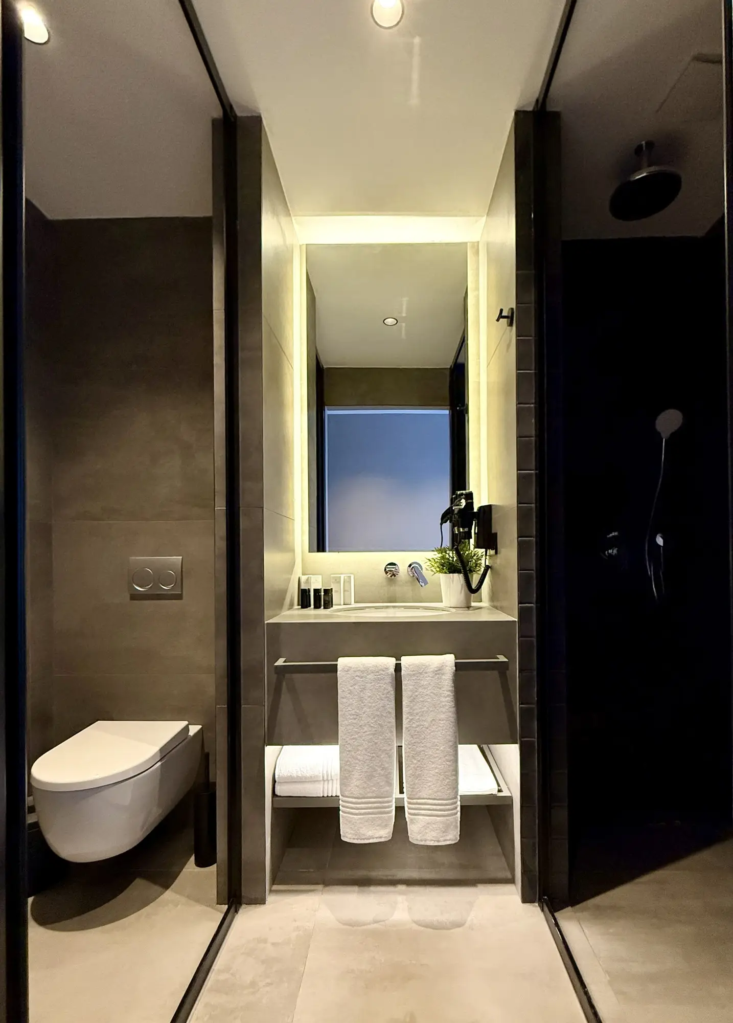 CITYLOFT 147 Loft Suite: Lavabo, klozet ve duş bölümlü banyo