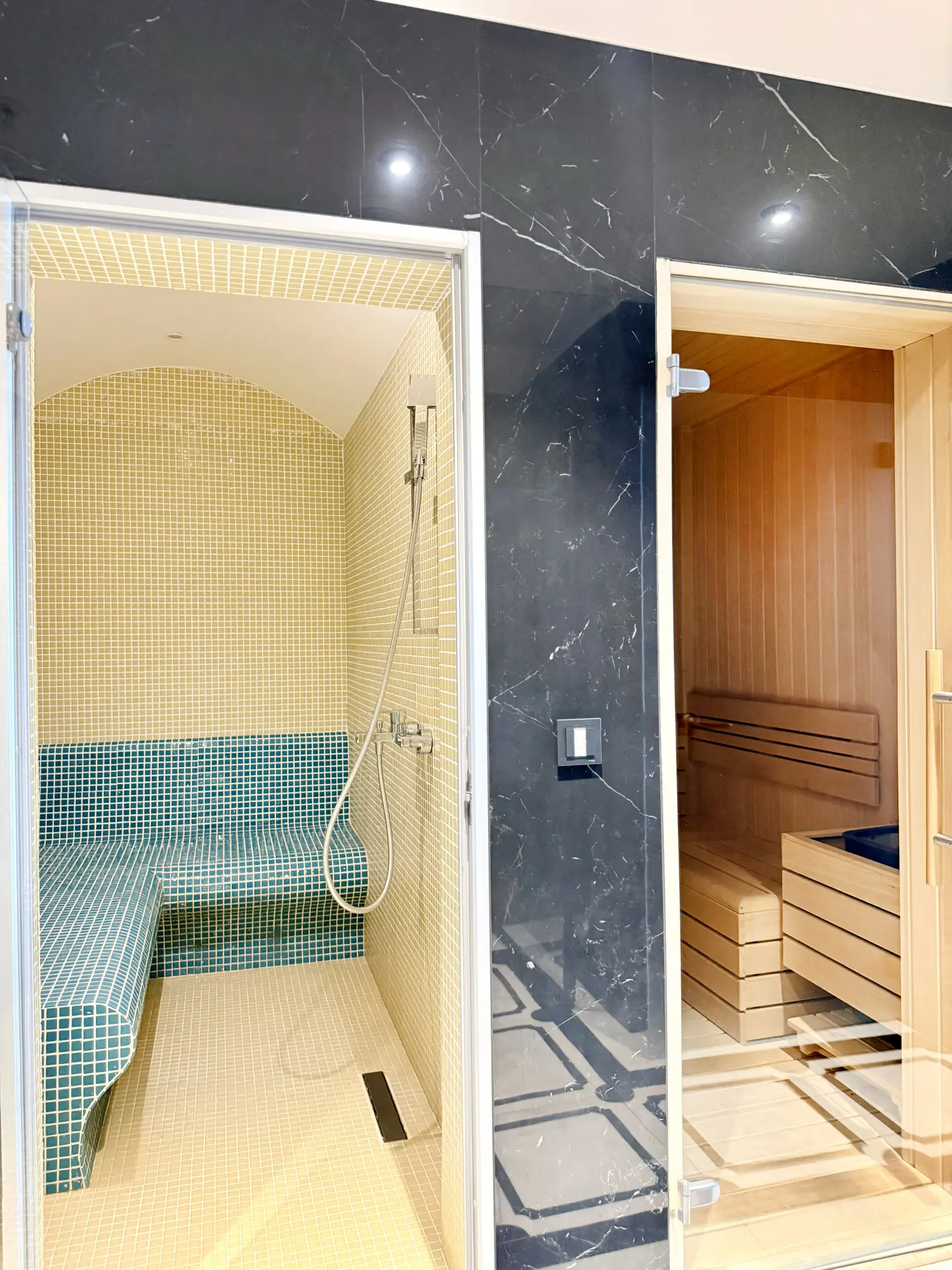 CITYLOFT 175 Presidential Suite: Buhar odası ve sauna girişi